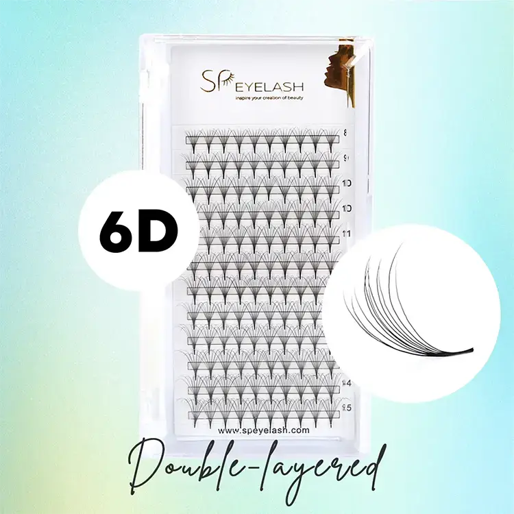 6D Fãs de Camellia de camada dupla