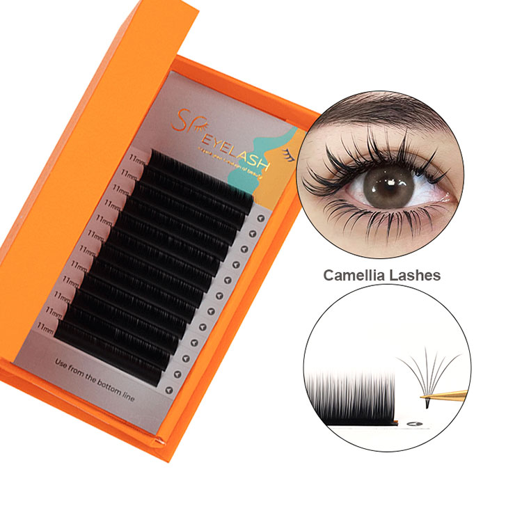 Camellia Easy Fanning Volume Lashes